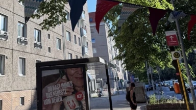 Das Foto zeigt die ﻿Torstraße in Mitte und einen der Bäume, der den Plänen des Senats zum Opfer fallen könnte.